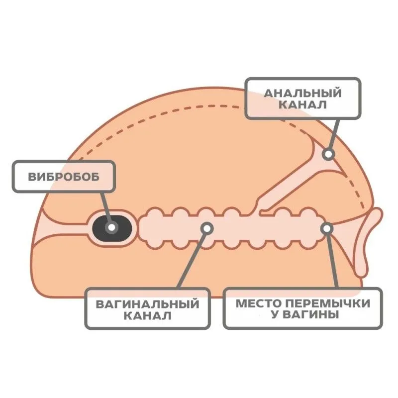 вибромассажёр для мужчин - вагина биоклон с пальцами с вибратором в Мурманске