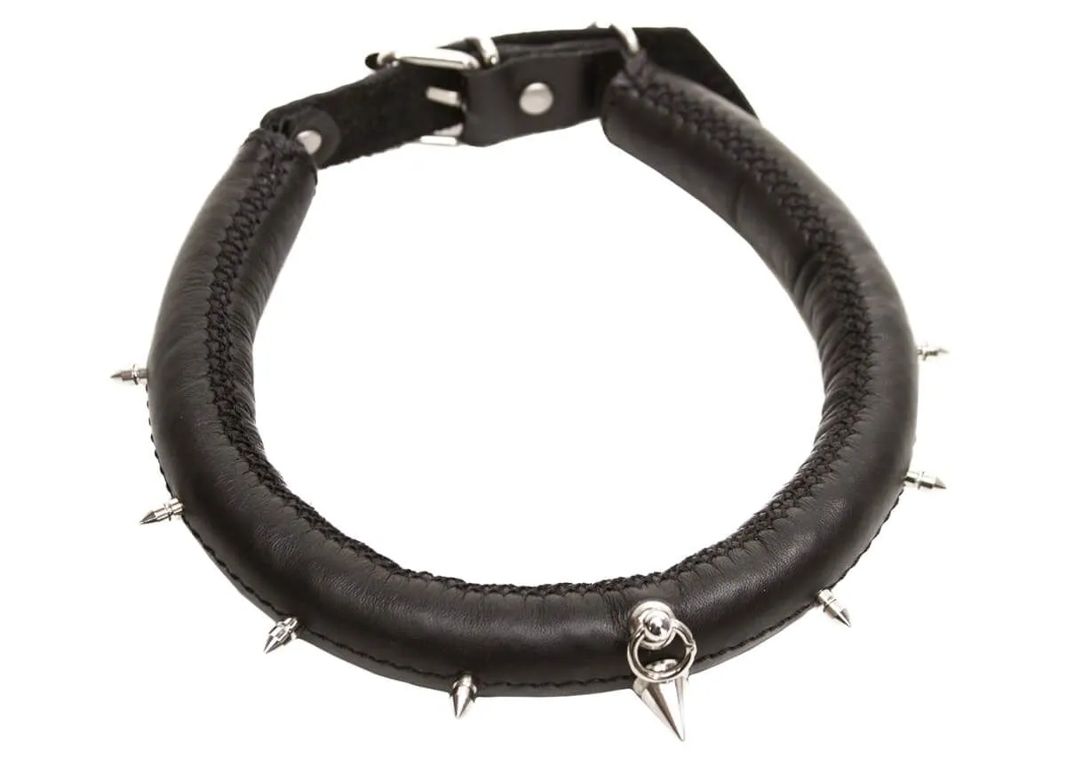 ошейник округлый большой, чёрный в Мурманске