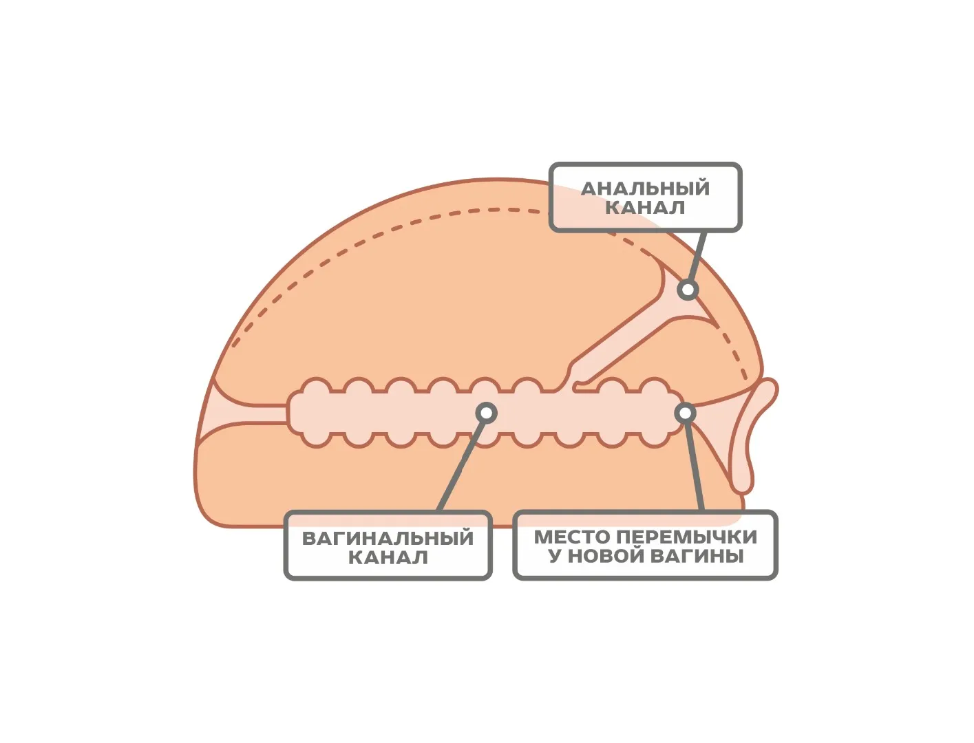 мастурбатор для мужчин 659401ru в Мурманске