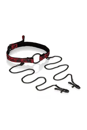 кляп-кольцо (кляп-рамка) с зажимами на соски scandal open mouth gag with clamps в Мурманске