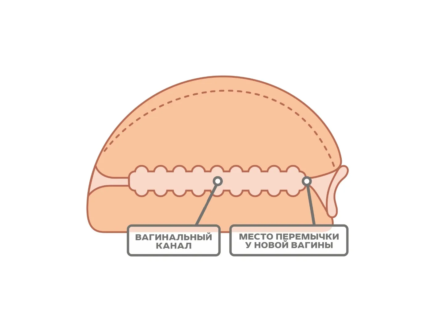 мастурбатор для мужчин 657301ru в Мурманске