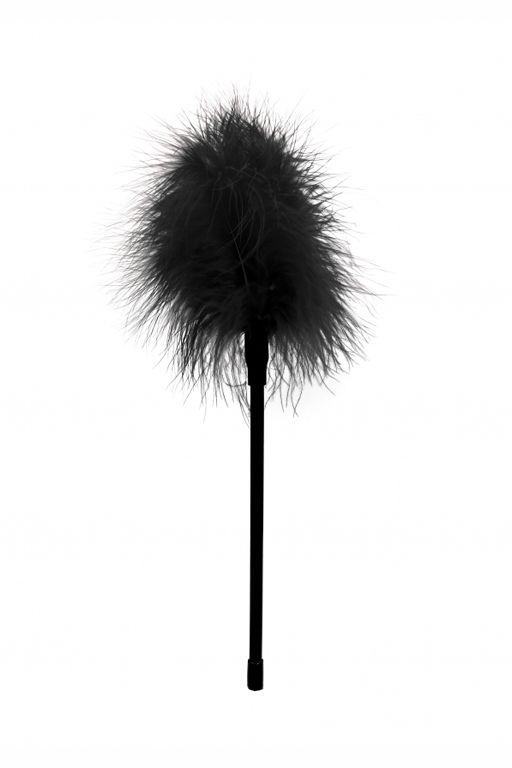 Перьевая кисточка Feather